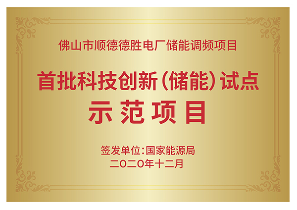 国度能源局首批科技创新（储能）试点示范单元